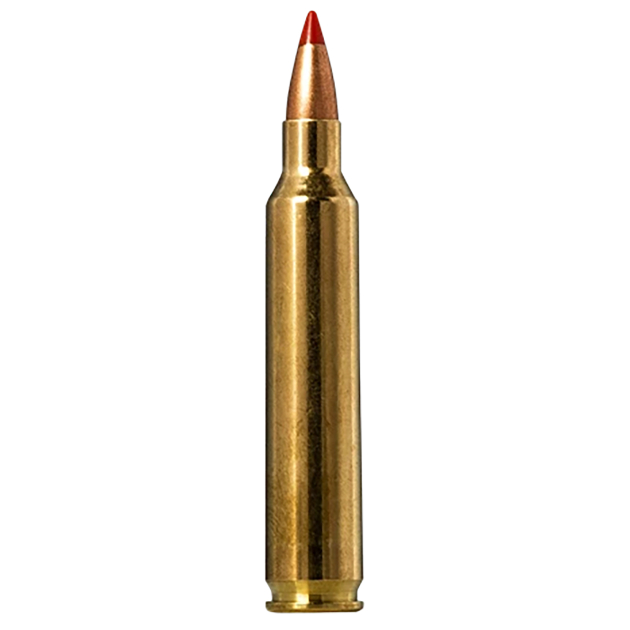 Norma Ammunition 20156502  Tipstrike 204Ruger 40gr V-Max 20 Per Box/10 Case