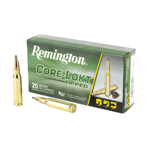REM 308 WIN 180GR CLOK TIPPED 20/200