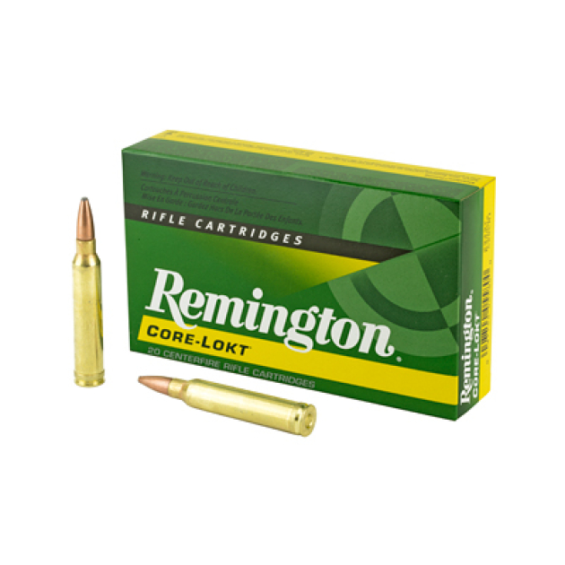REM 300WIN 180GR PSP CL 20/200