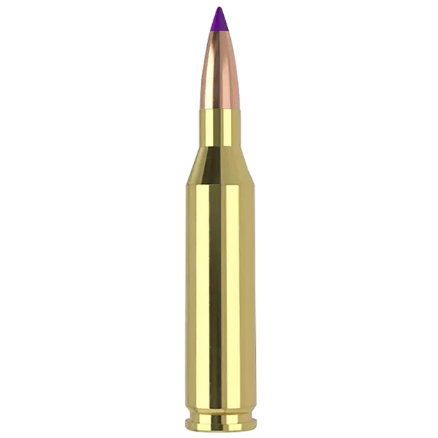 Nosler 40041   243Win 70gr Ballistic Tip Varmint 20 Per Box/10 Case