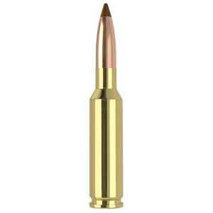 Nosler 61053   6.5x55Swedish 140gr Ballistic Tip 20 Per Box/10 Case