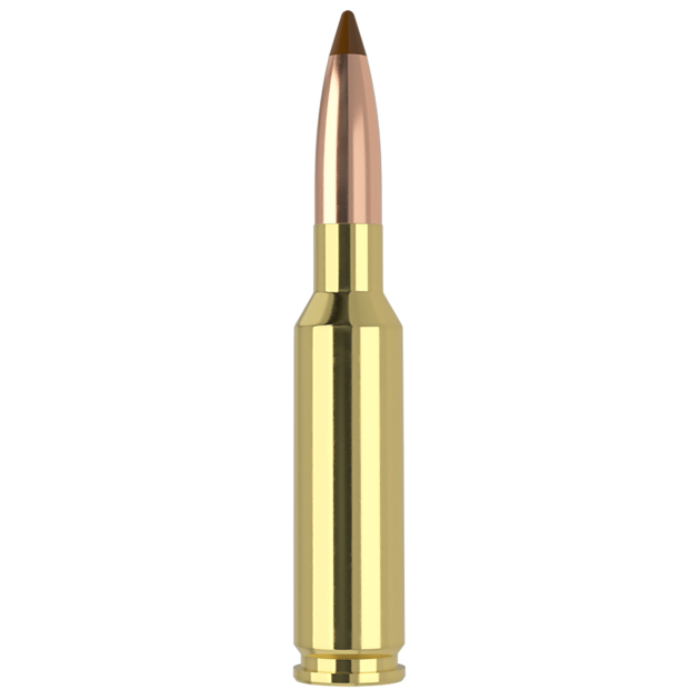 Nosler 61053   6.5x55Swedish 140gr Ballistic Tip 20 Per Box/10 Case