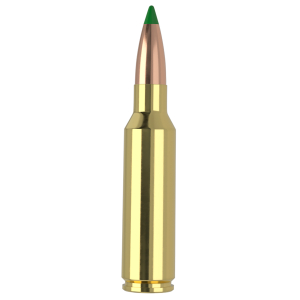 Nosler 61035   300WSM 165gr Ballistic Tip 20 Per Box/10 Case