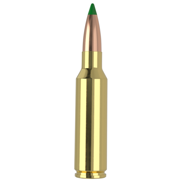 Nosler 61035   300WSM 165gr Ballistic Tip 20 Per Box/10 Case