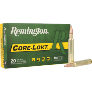 REMINGTON 300 WBY MAGNUM 180GR - CORE-LOKT PSP 20RD 10BX/CS