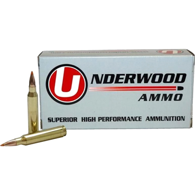 UNDERWOOD 458 HAMMMER 300GR - BALLISTIC TIP 20RD 10BX/CS