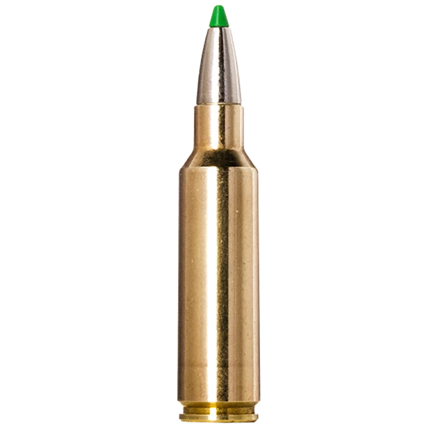 Norma Ammunition 20177512  Ecostrike 300WSM 165gr 20 Per Box/10 Case