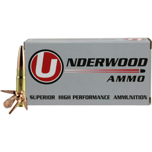 UNDERWOOD 300 AAC 194GR - SUBSONIC 20RD 10BX/CS