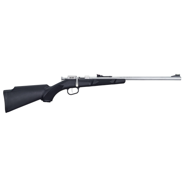 HENRY REPEATING ARMS MINI BOLT 22LR SS/SYN