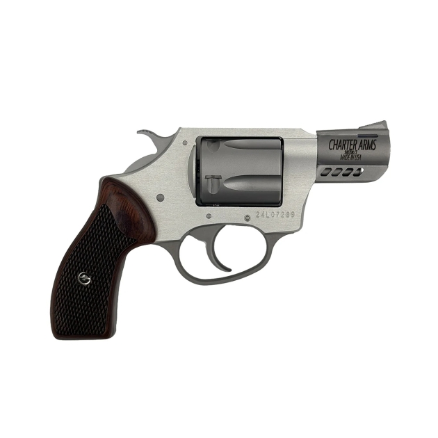 CHARTER ARMS COYOTE 380ACP SS 2" 5RD