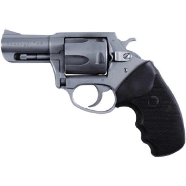 CHARTER ARMS BULLDOG 44SPL - 2.5" S/S