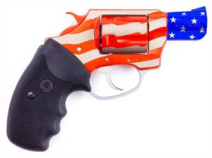 CHARTER ARMS OLD GLORY 38SPL - 2" RED/WHITE/BLUE - Image 3