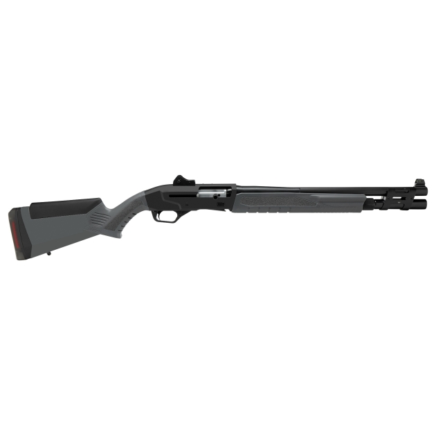 SAV RENEGAUGE SEC SA 12M/18MC