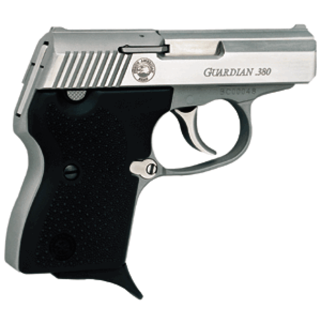 NAA GUARDIAN 380ACP 6+1 SHOT - S/S BLACK SYNTHETIC GRIPS