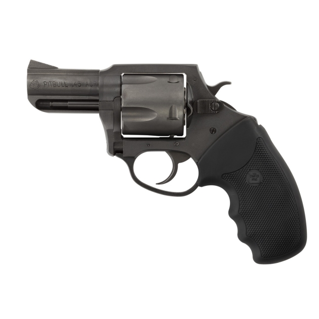 CHARTER ARMS CHARTER PITBULL 45ACP NIT 2.5"