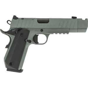 TISAS 1911 B910BA NSSF-C 10MM - 4.25" BBL 8RD W/CASE GREY