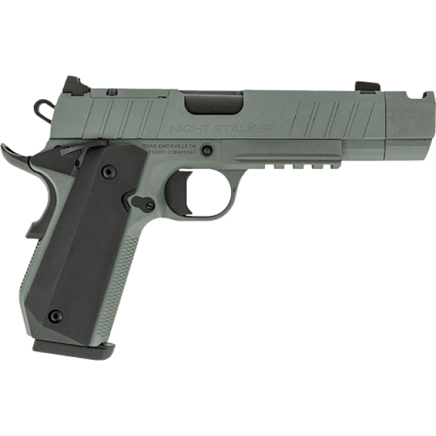 TISAS 1911 B910BA NSSF-C 10MM - 4.25" BBL 8RD W/CASE GREY