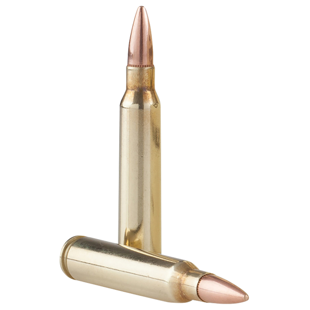 TR&Z PPRM5561P Range Master 5.56x45mm NATO 55 gr Full Metal Jacket Boat Tail 125 Per Box/4 Case