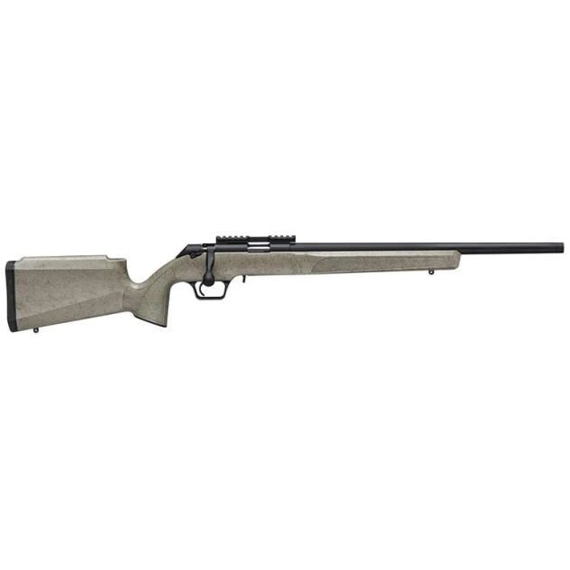 SPRINGFIELD ARMORY MODEL 2020 RF TARGET 22LR SAGE BLK WEB 1-10RD