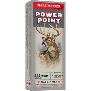 WINCHESTER SPR-X 243WSSM 100GR PP